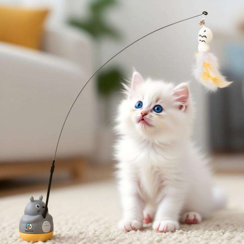 DogTrust Wand Feather and Bell Interactive Toy Cats and Kittens Fun Plastic Fetch Toy For Dog & Cat