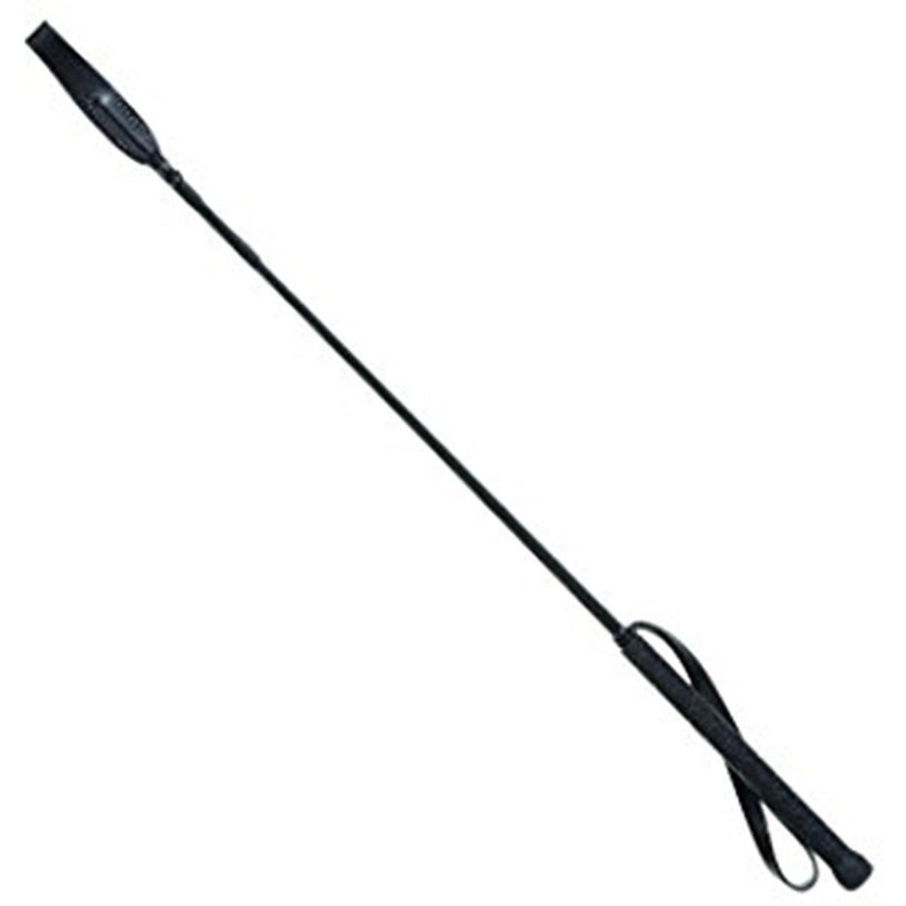 Taiyo Pluss Discovery Pet Training Stick Plastic Stick For Dog