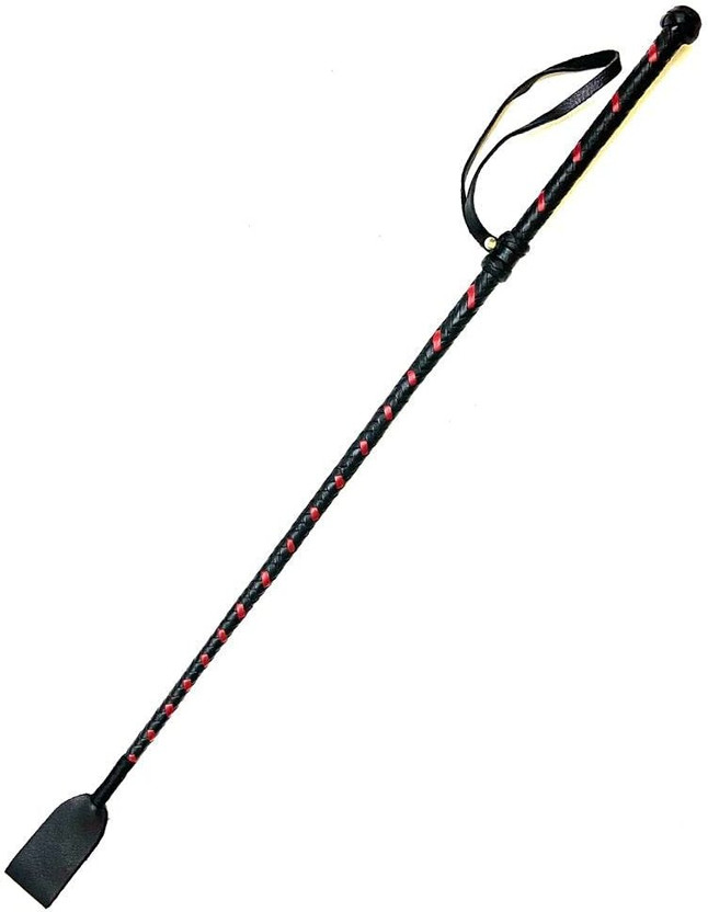 petshug Nylon Dog Training Hunter Stick (COLOR MAY VARY) Nylon, Rubber Training Aid For Dog & Cat
