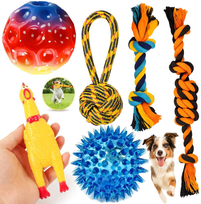PETZLUV Durable Teething & Tug of War Rope Chew Toys Combo - Bouncy Ball & Squeaky Toys Rubber Ball, Squeaky Toy, Chew Toy, Fetch Toy, Training Aid For Dog