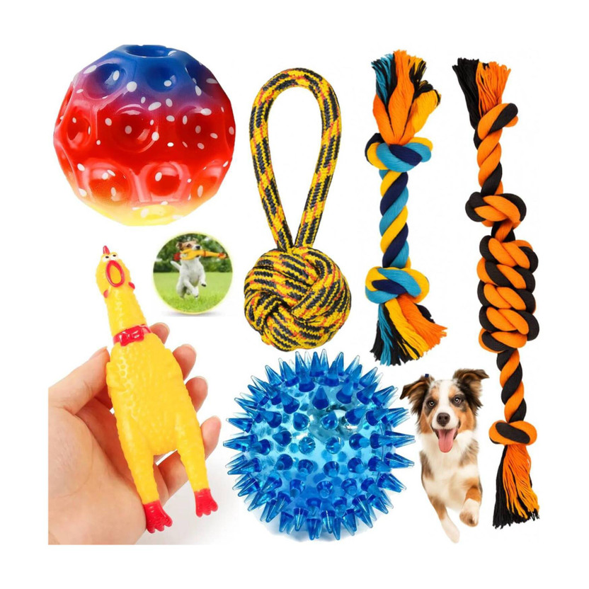PETZLUV PETZLUV Durable Teething & Tug of War Rope Chew Toys Combo - Bouncy Ball & Squeaky Toys Rubber Ball, Squeaky Toy, Chew Toy, Fetch Toy, Training Aid For Dog - Flipkart Deal