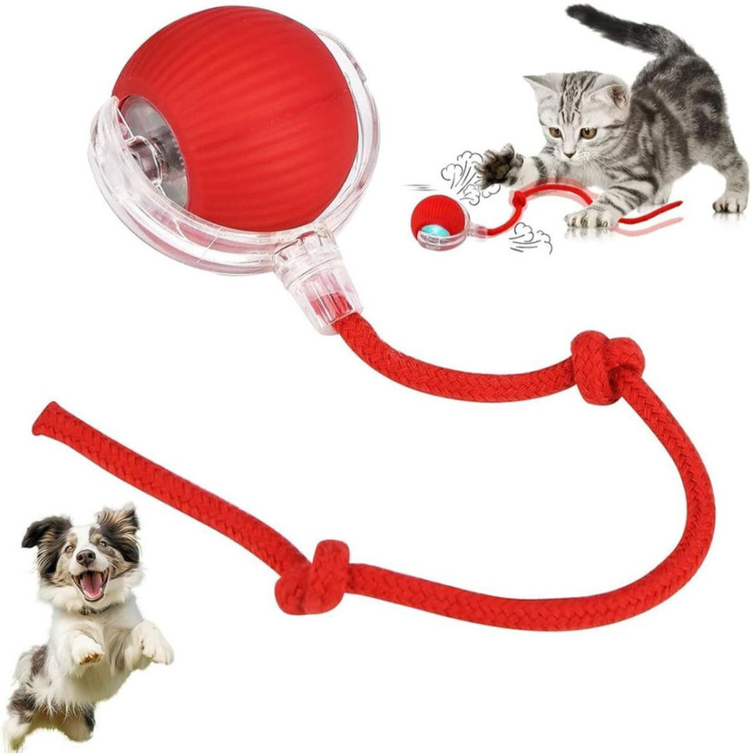 decorvaiz decorvaiz Silicone, Plastic Ball For Dog & Cat - Flipkart Deal