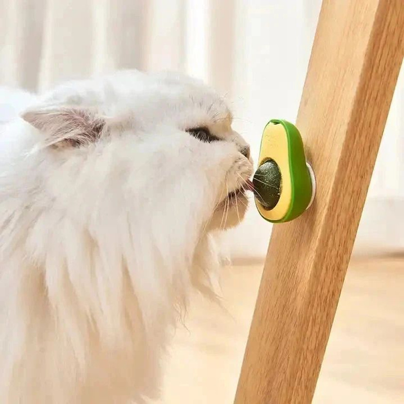 YMS Interactive Cat Toy Cat Nip Silvervine Mint Cat Lickable Treat Cat Dental Toy Plastic, PP (Polypropylene) Soft Toy, Training Aid For Cat