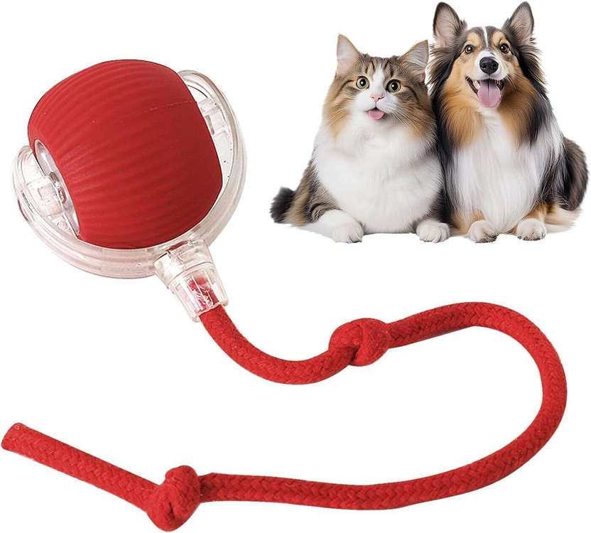 Galaxyway Automatic Moving Cat Balls for Bored Indoor Toys Silicone Ball, Soft Toy For Dog & Cat