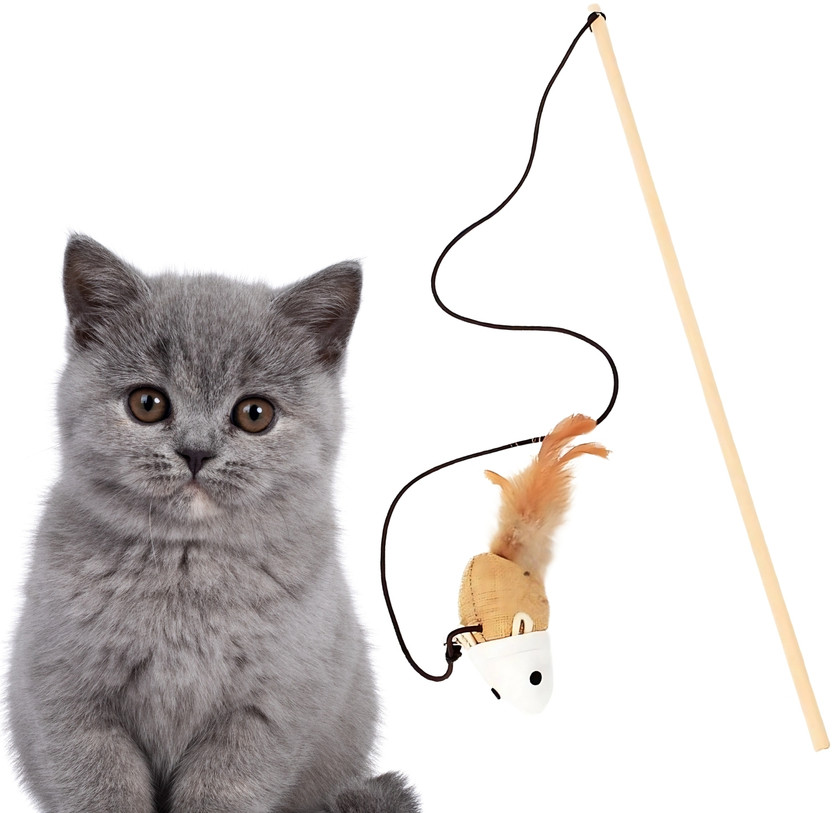 Western Era Teaser Wand for Cats – Engaging Playtime Essential Fun Toy, Active & Bonding Wooden Training Aid, Treat Dispensing Toy For Cat