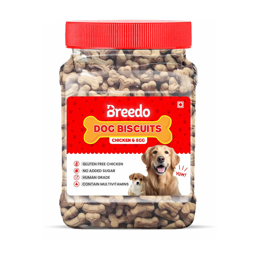 Breedo Dog Non Veg Real (Chicken Flavour) Dog Biscuit Treat || Healthy Chicken & EGG Chicken Dog Treat(0.4 kg)