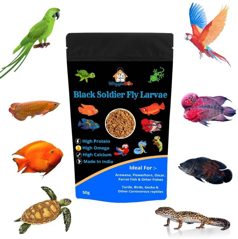 WiggleBoo High Protein Dried Black Soldier Fly Larvae Fish food Turtle