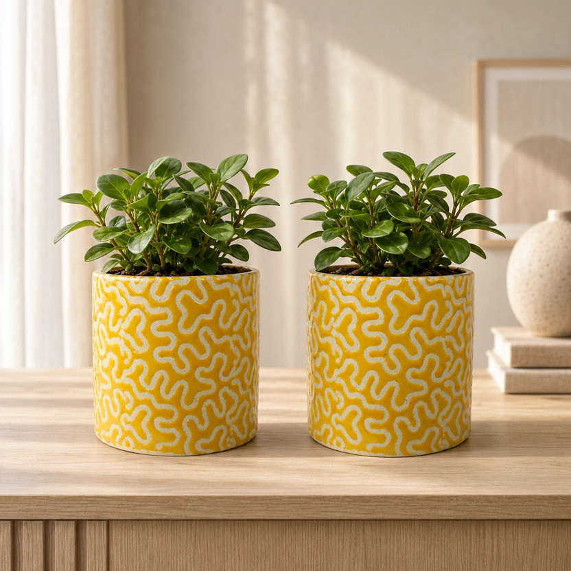 Gupta Homes Yellow RD-1 Pipe Ceramic Pot Size 4x4inch GH0022-09 Plant Container Set(Pack of 2, Ceramic)