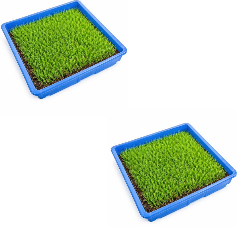 Future Organic System Hydroponic Microgreens Growing Tray Hydroponic Tray Pack of 1 Plant Container Set(Pack of 2, Plastic)