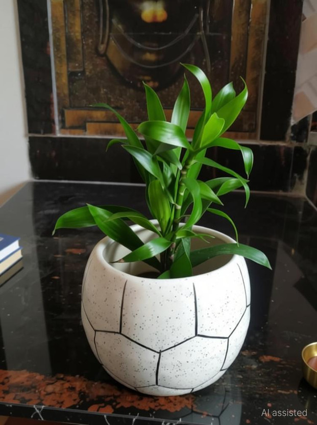 Nayi Umang Plant Container Set(Ceramic)