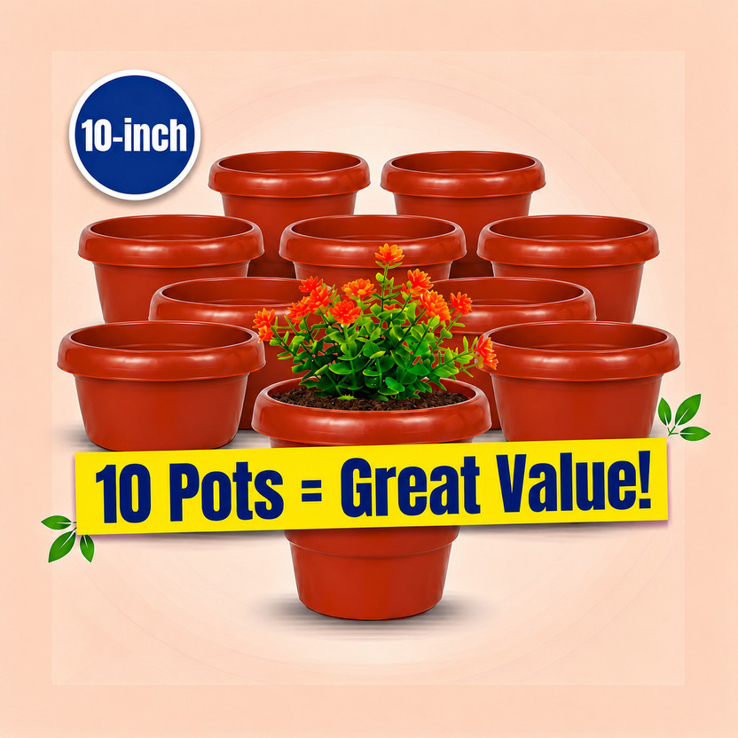 Polyvibe Polyvibe Premium 10 Inch Plastic Flower Pot Set of 10 for Home & Garden Plants Plant Container Set(Pack of 10, Plastic) - Flipkart Deal