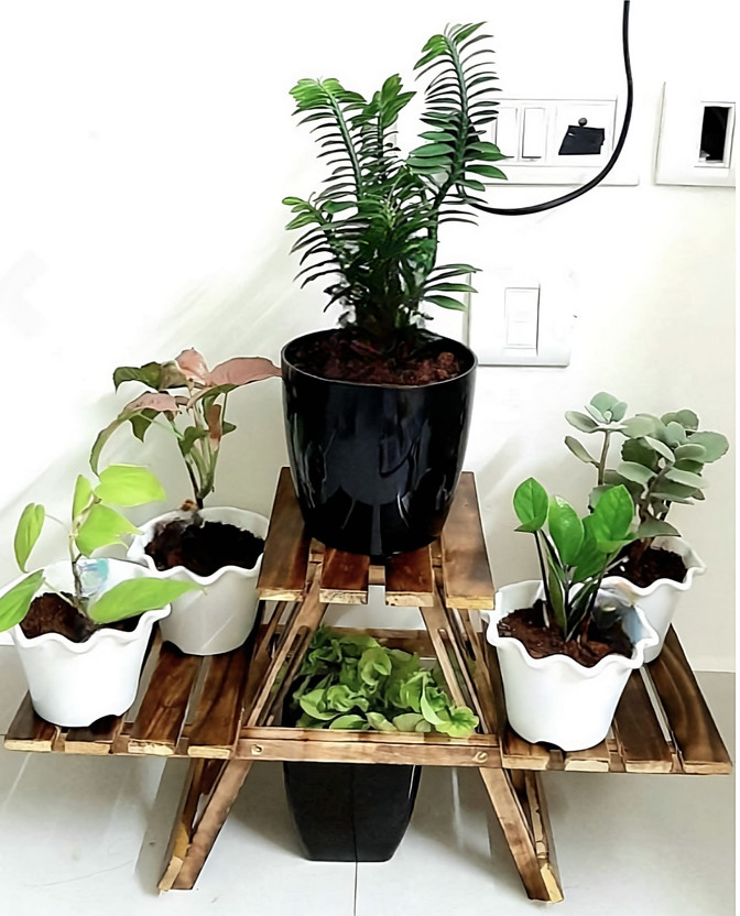 CREATIVE SKILLS Wooden Plant Stand with 3 Desks/Living Room Side Garden Out door plant stand Plant Container Set(Wood)