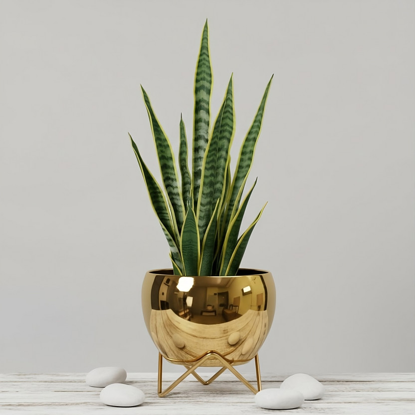 URBAN NEST CREATIONS Luxury Golden Planter Pot | Indoor & Outdoor | Home, Balcony & Office Decor Plant Container Set(Metal)