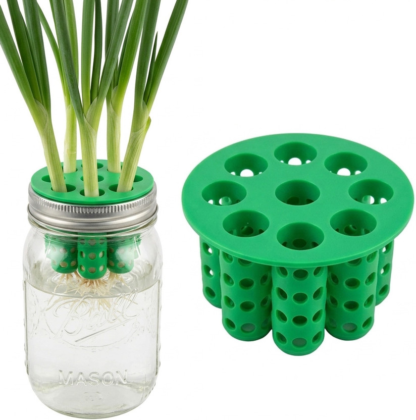 ORTIZA Green Onion Planter Kit Indoor Hydroponic Scallion and Herb Growing Lid Plant Container Set(Plastic)