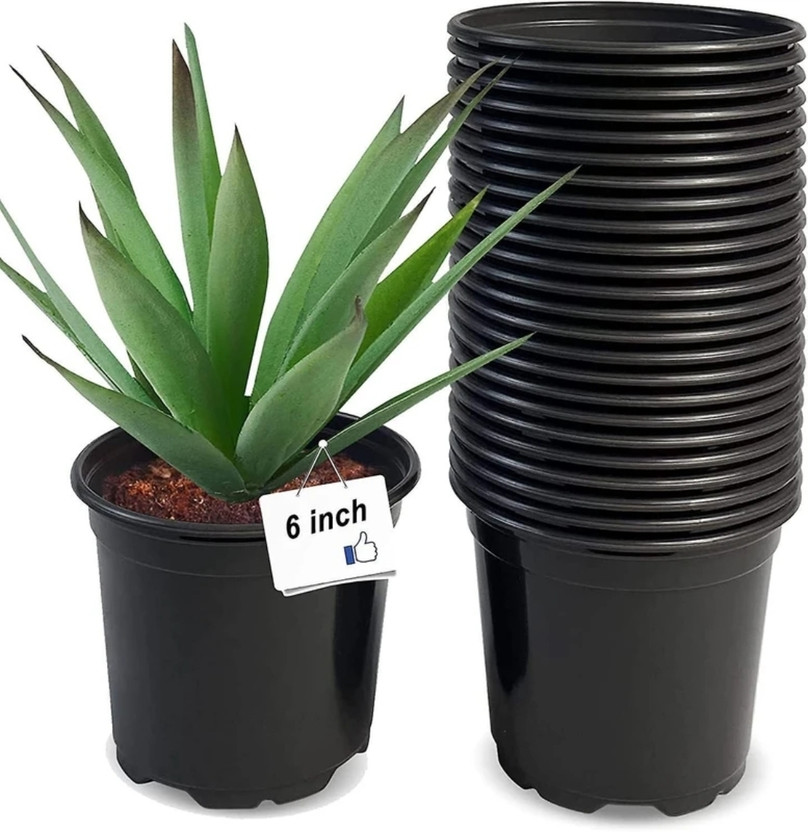 Gardeningwala 6 inch black nursery flower pots set of 10 Plant Container Set(Pack of 10, Plastic)