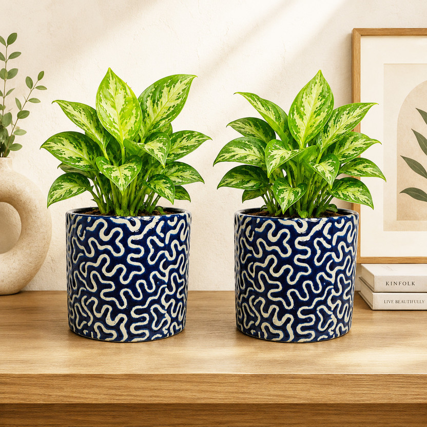 Gupta Homes Blue RD 1 Pipe Ceramic Pot GH0022-01_Packof2 Plant Container Set(Pack of 2, Ceramic)