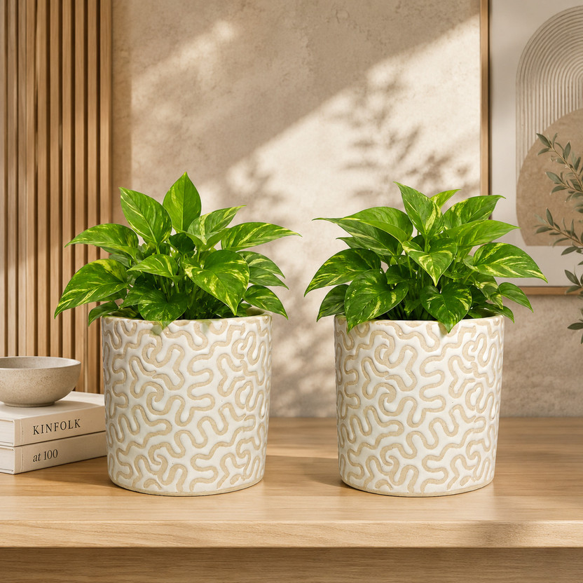 Gupta Homes White RD-1 Pipe Ceramic Pot Size 4x4inch GH0022-10 Plant Container Set(Pack of 2, Ceramic)