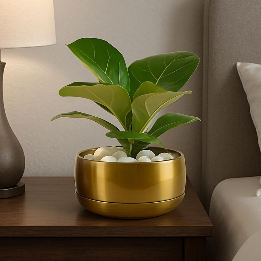 Cinagro Glow Root Metal Planter Pot for Indoor Plants, Rust-Resistant, Modern Plant Container Set(Metal)