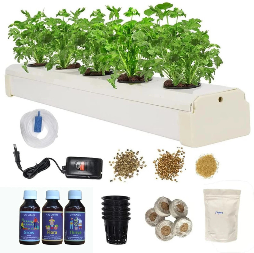 CityGreens DWC Hydroponic Kit for Home - Beginners 5 Planter Plant Container Set(Plastic)