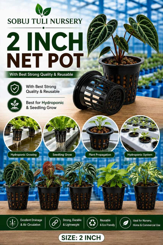 Sobuj Sobuj Tuli 2 Inch Net Pot for Hydroponic Plants|Strong Reusable Nursery Net Pots|25 Pieces Plant Container Set(Pack of 5, Plastic) - Flipkart Deal