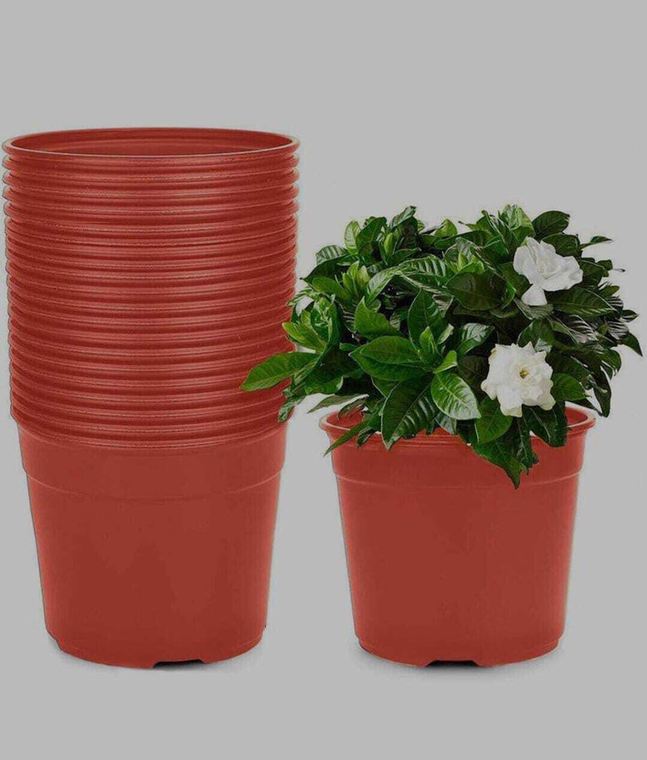 Bluevista Bluevista Plastic Nursery Pots 6 Inch Brown Plant Seed Starting Pot for Indoors & Outdoors Plant Container Set(Pack of 40, Plastic) - Flipkart Deal