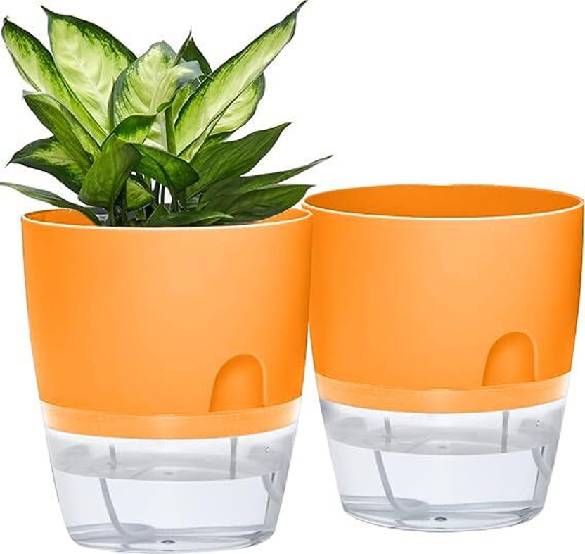 InHydro Wick hydroponics System yellow | Self-Watering Pots | Plants Not Included| Plant Container Set(Pack of 2, Glass, Plastic)