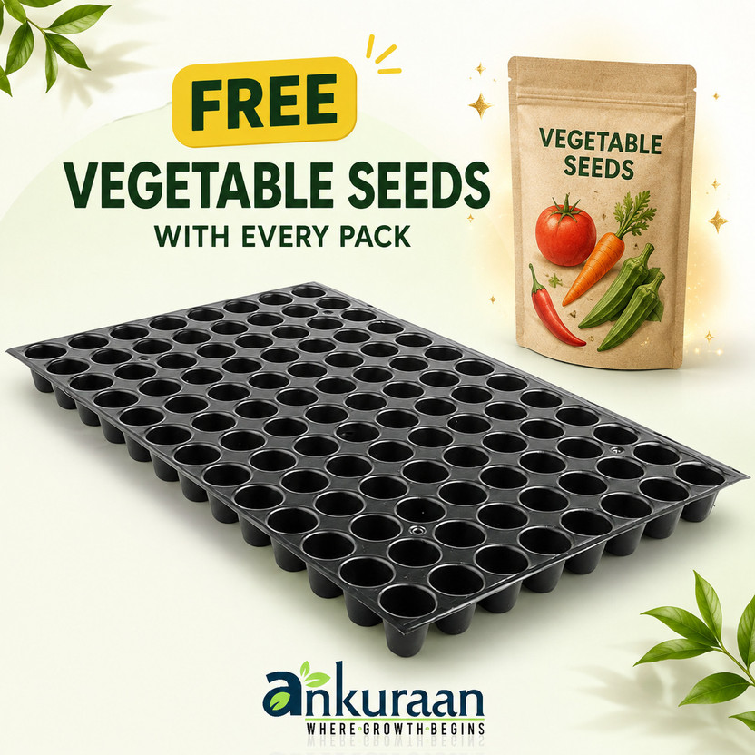 Ankuraan Seedling, Nursery Trays for Plants, 104 holes Set of 5 Plant Container Set Plant Container Set(Pack of 4, Plastic)