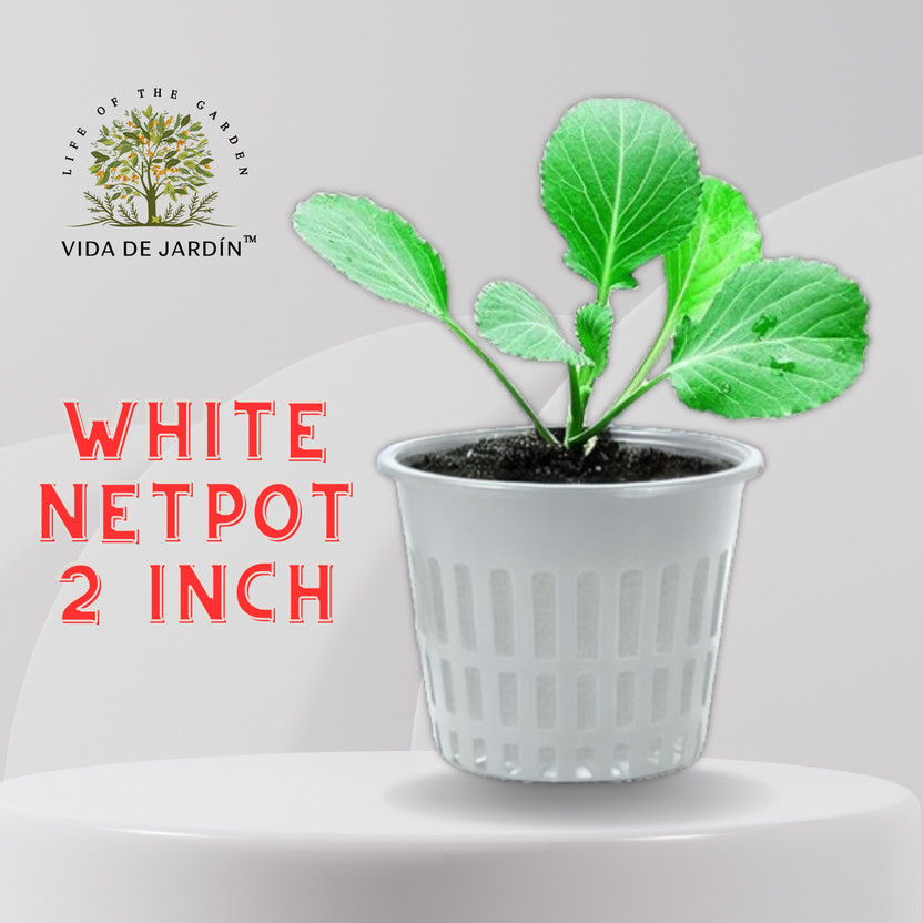VIDA DE JARDIN White Hydroponic 2 INCH Netpots | Heavy Duty Slotted Mesh Net Cups (10PCS) Plant Container Set(Plastic)