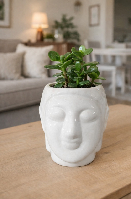 venusceramic Buddha-4 Plant Container Set(Ceramic)