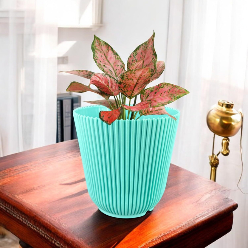 Garden's Need 4Inch(10.16CM) Flower Plastic Pot Plant Container Pot Round Shape Plant Container Set(Plastic)