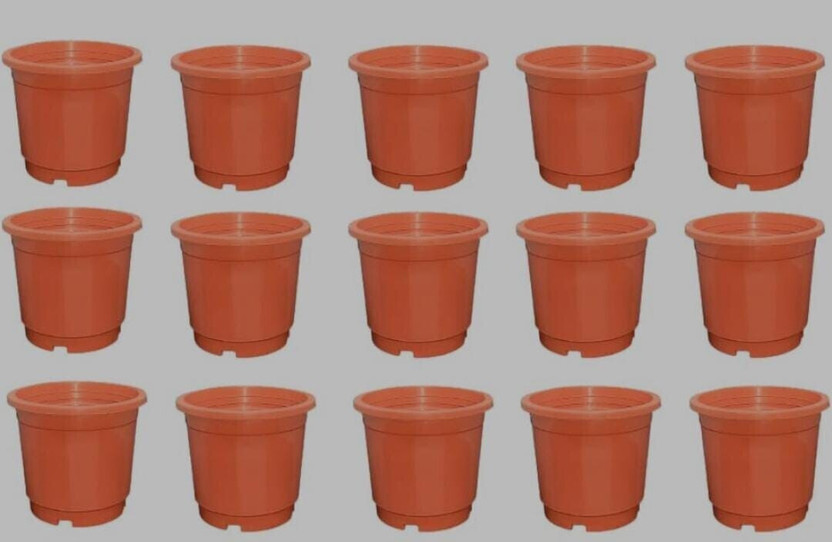 Bluevista Bluevista Plastic Nursery Pots 6 Inch Brown Plant Seed Starting Pot for Indoors & Outdoors Plant Container Set(Pack of 15, Plastic) - Flipkart Deal