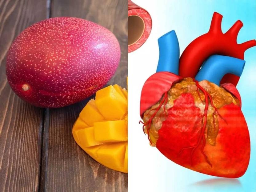 Japanese Miyazaki Mango Plant Mango Plant Price in India Buy Japanese