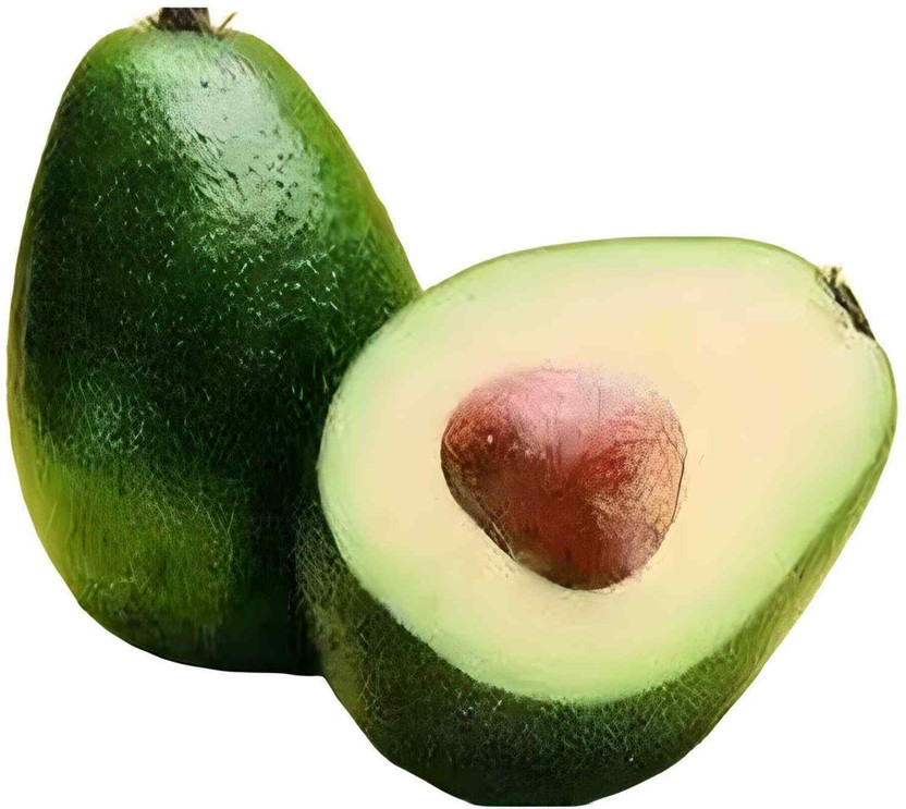 sspykrts Avocado Plant(Hybrid, Pack of 1)