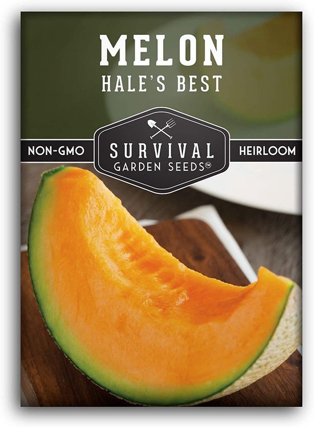 CYBEXIS CYBEXIS LXI-90 - Hale's Best Musk Melon - (450 Seeds) Seed(450 per packet) - Flipkart Deal