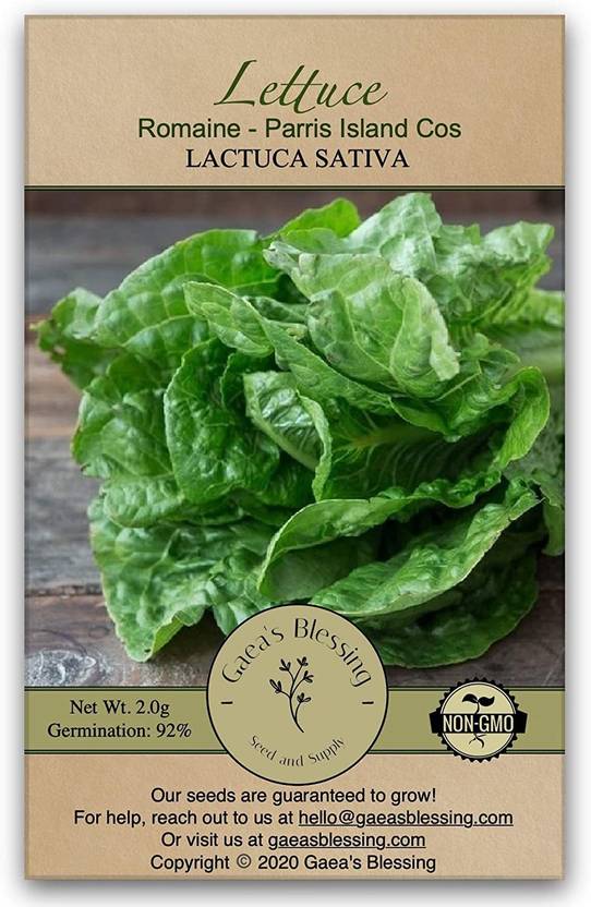 VibeX ® VLR244 Lettuce Seeds Romaine Parris Island Cos Seed Price in