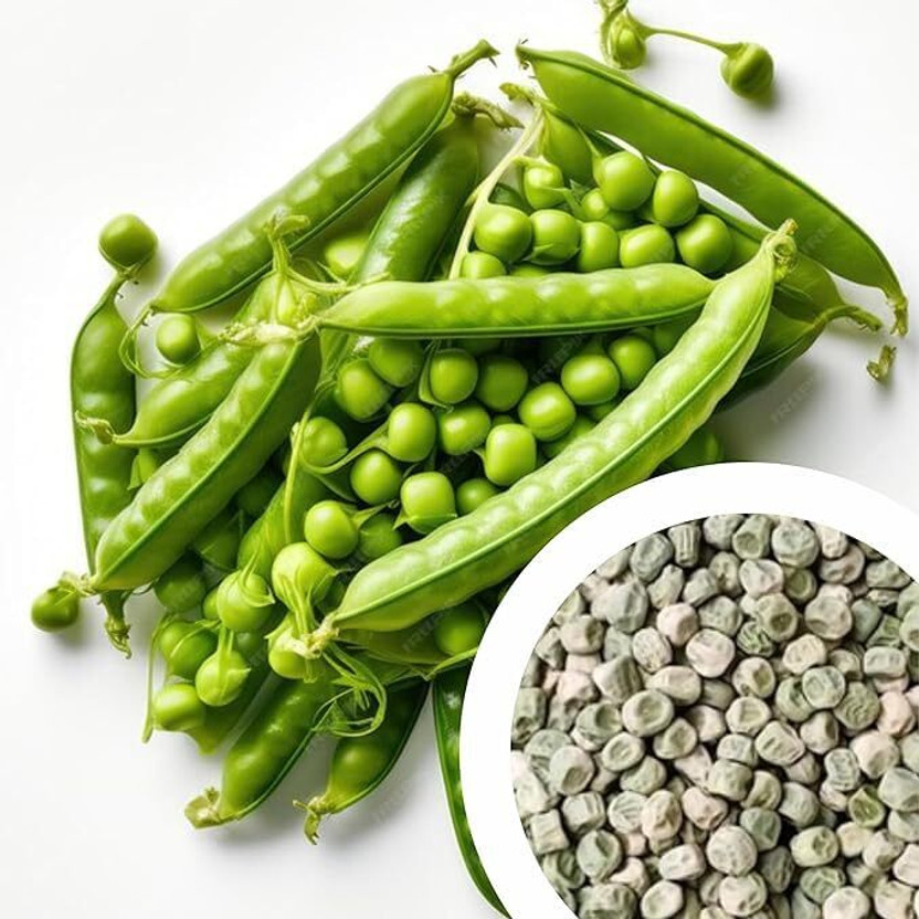CLOKIFY CLOKIFY green peas matar Seed(1 per packet) - Flipkart Deal