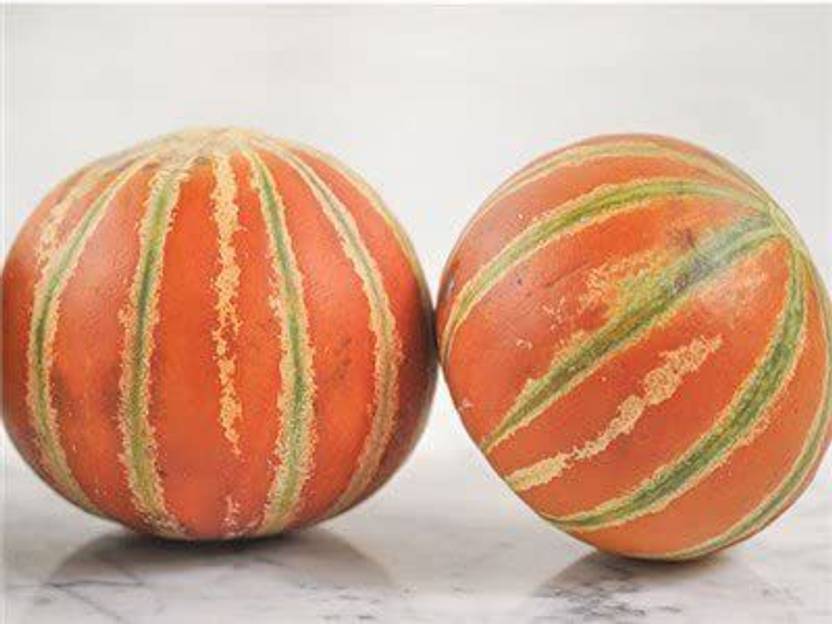 JRYU Muskmelon (Kharbuja) Fruit Seeds For Home Gardening Seed Price in