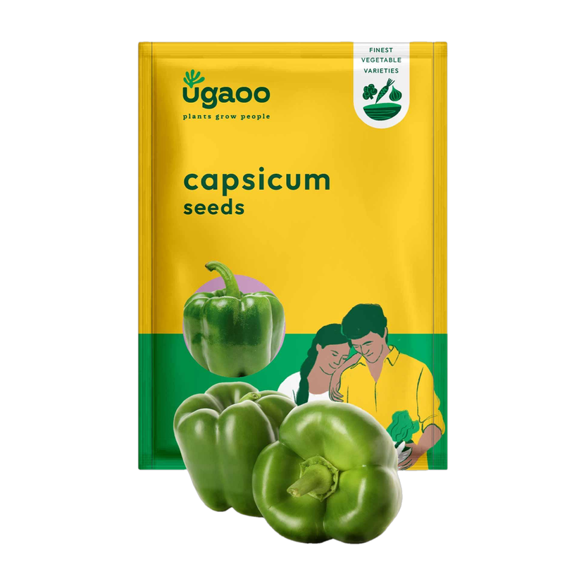 UGAOO Capsicum Vegetable Seed(50 per packet)