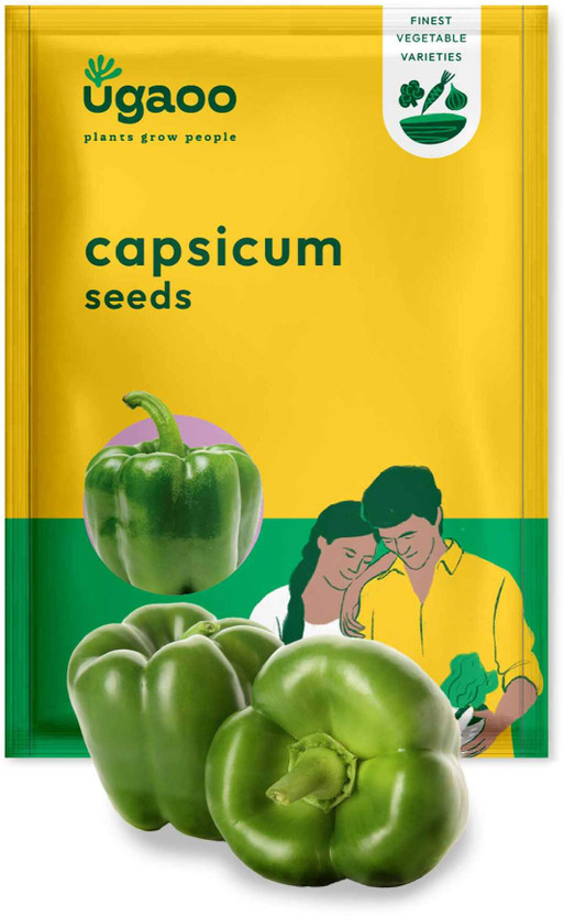 UGAOO Capsicum Vegetable Seed(50 per packet)