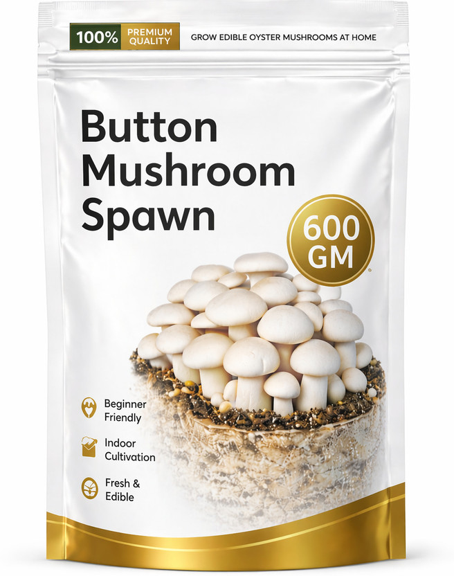 ITU Button Mushroom Spawn/Seed | Easy Home Farming | High Yield Organic Seed(600 g)