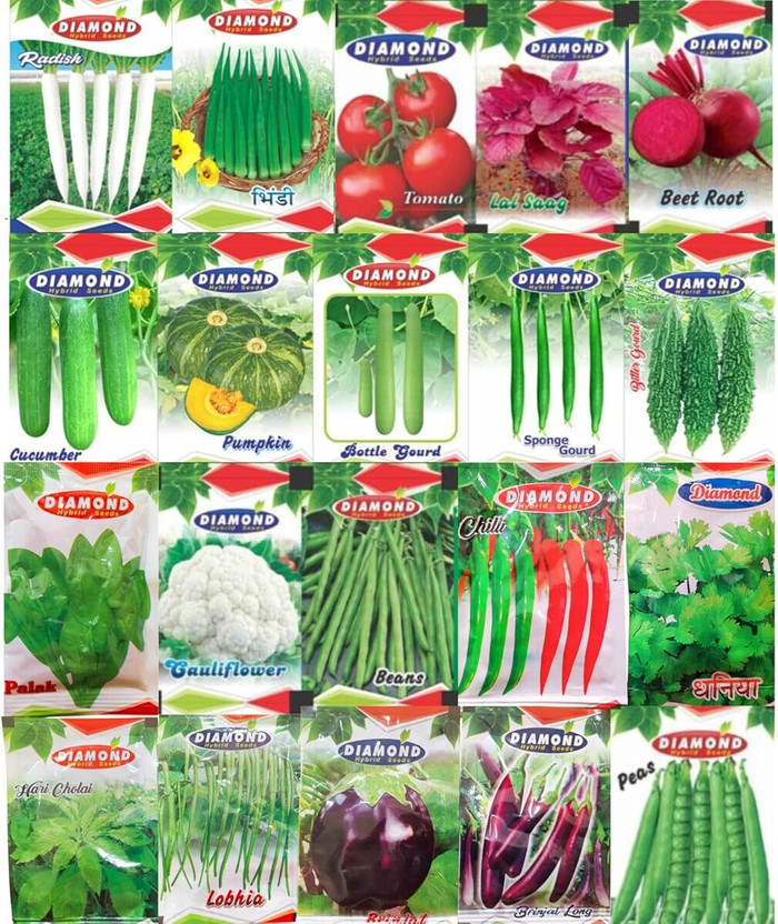 HYBRID Vegetable Seeds Collection, 20 Varieties Pack with 2500+ Seeds Seed(100 g)