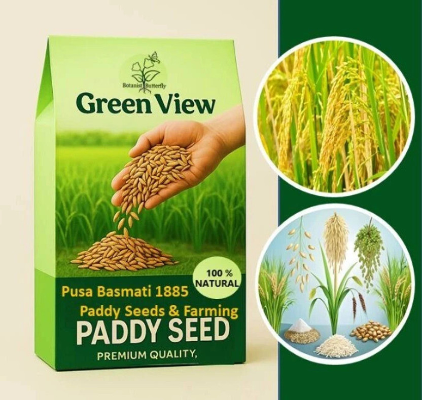 Green Green view Dhan Paddy Seeds Vadlu For Pooja, Germination Seed(1 g) - Flipkart Deal