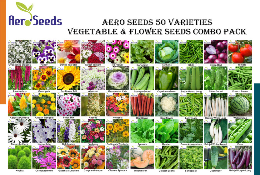 Aero Seeds 50 varieties seeds combo pack with instruction manual. Seed(50 per packet)