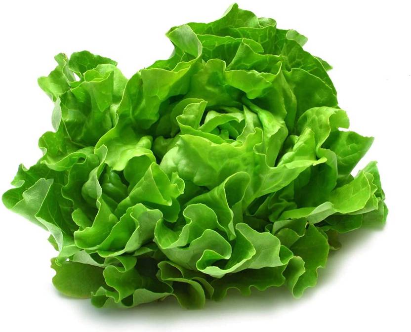 TRICONE Lettuce Seed Price in India Buy TRICONE Lettuce Seed online