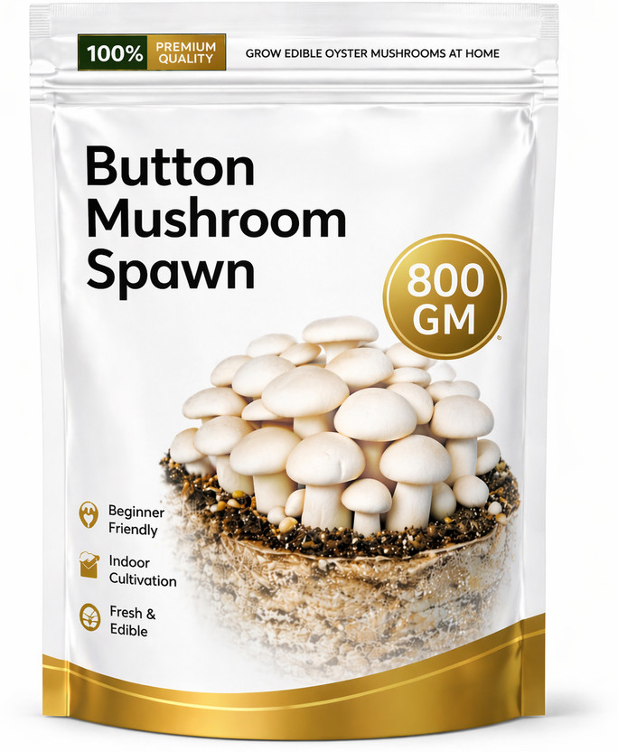 ITU Button Mushroom Spawn/Seed | Easy Home Farming | High Yield Organic Seed(800 g)