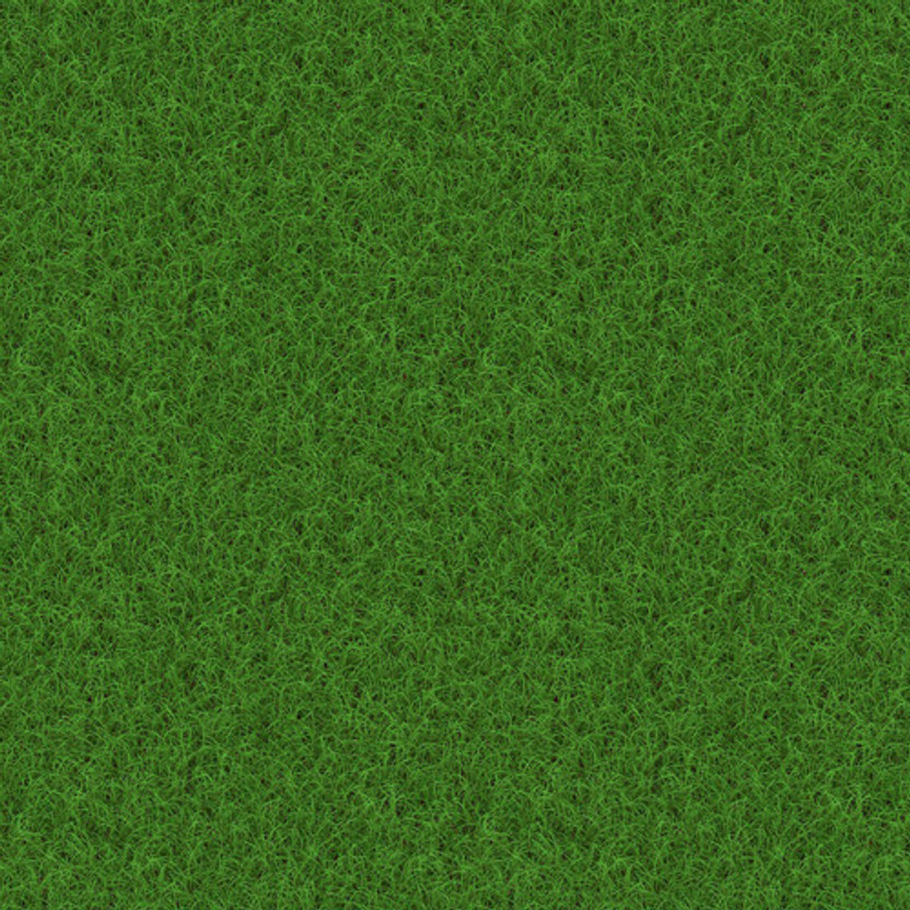 naturehils Maxican Lawn Grass Seeds, Grass Seeds For Park & Playground, Organic Seed(15000 per packet)