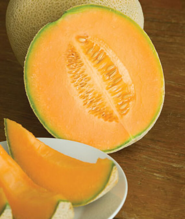 Biosnyg Cantaloupe, Hales Best Jumbo Melon Seed(250 per packet)