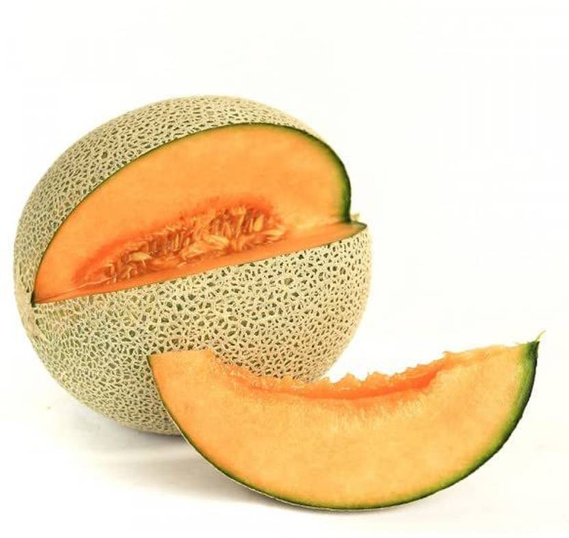 JRYU Muskmelon (Kharbuja) Fruit Seeds For Home Gardening Seed Price in