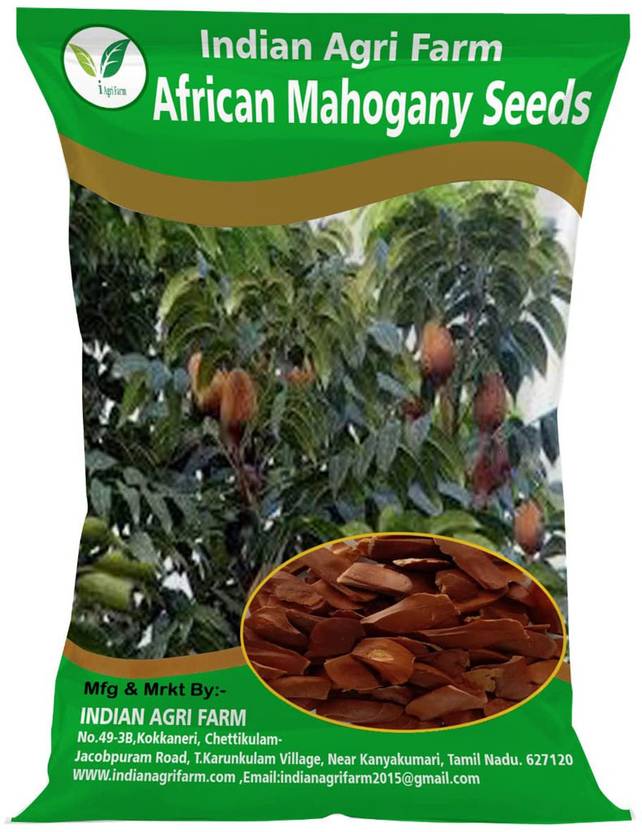 IAgriFarm African Mahogany Seed 1 kg / Swietenia Macrophylla Seed for
