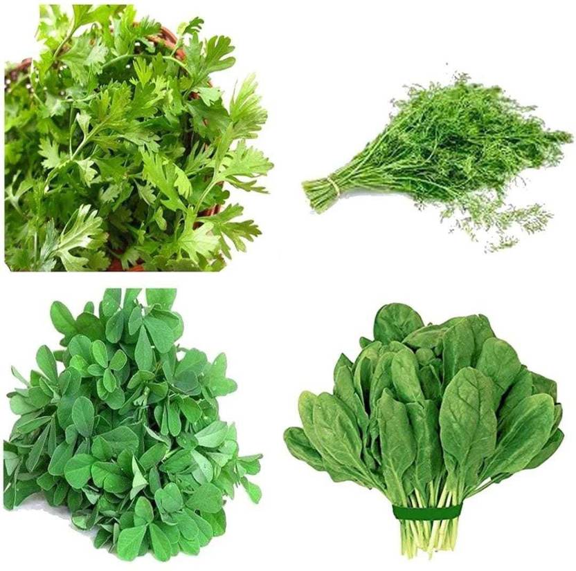 Ashoka arts VEGETABLE SEED, BEEJ Seed Price in India Buy Ashoka arts